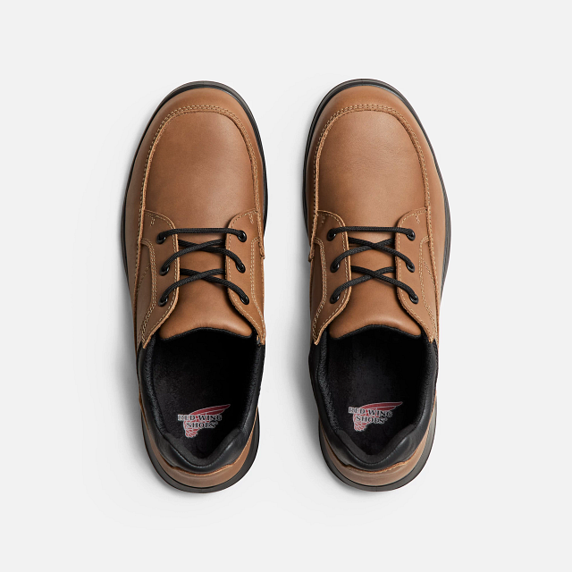 Safety Shoes Redwing 3251