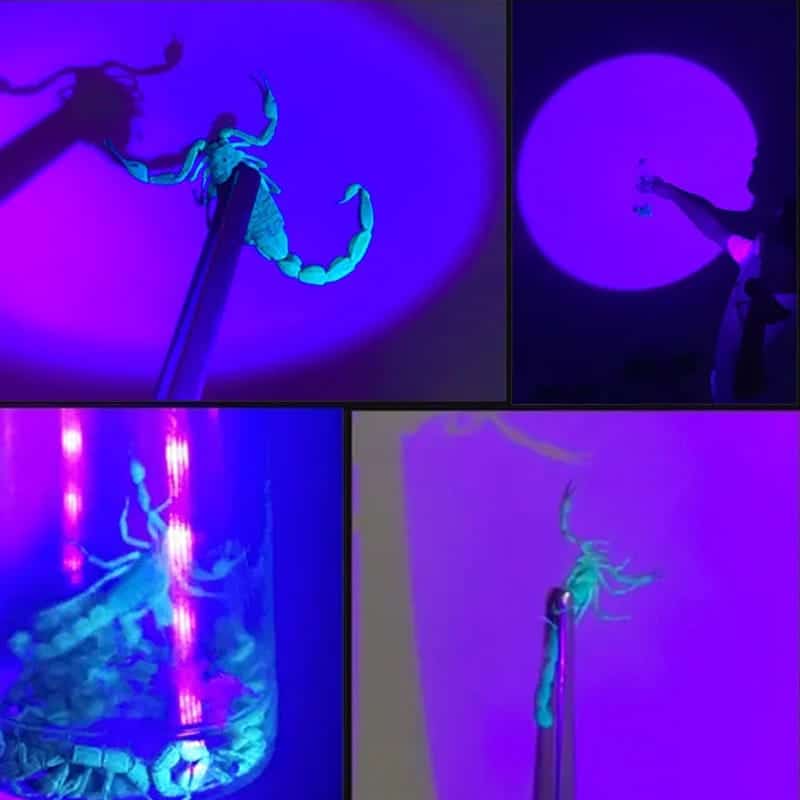 ULTRAFIRE Rechargeable UV Flashlight for Counterfeit Detection