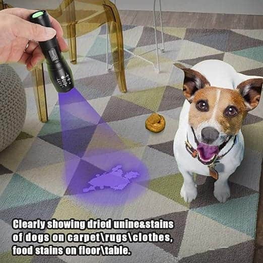 ULTRAFIRE Rechargeable UV Flashlight for Counterfeit Detection